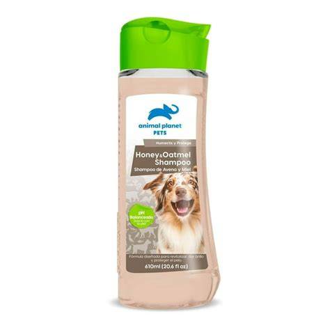 Perro durante baño con shampoo de avena