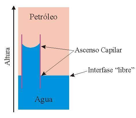 Esquema del ascenso capilar