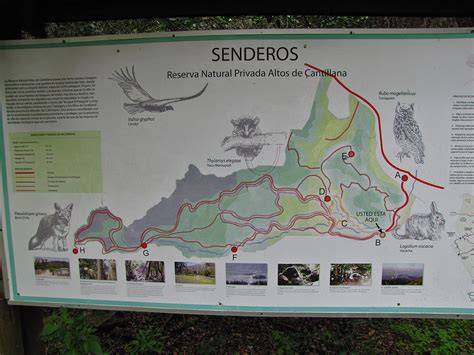 Senderos y pozones de Altos de Chicauma