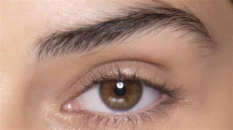 rostro con cejas naturales bien peinadas