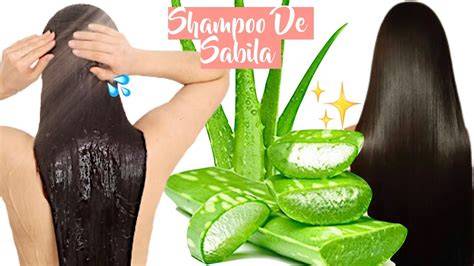 Ingredientes naturales para champú de aloe vera