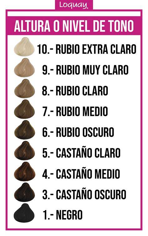 Escala de tonalidades del cabello alemán