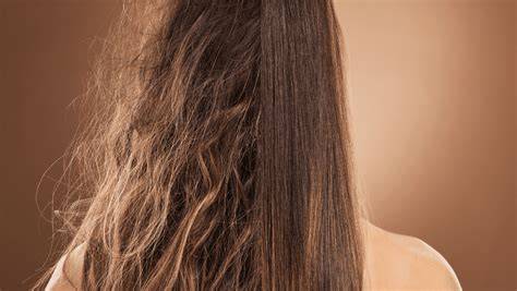 Cabello seco hidratado con algas marinas