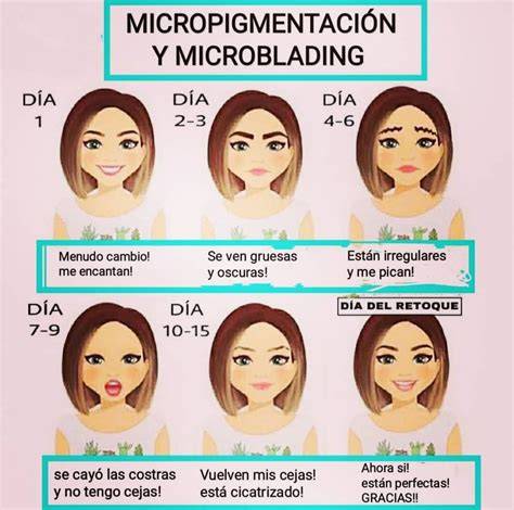 Fases de cicatrización del microblading