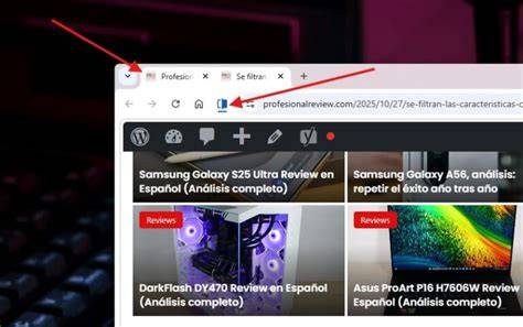Vista dividida de Chrome con dos pestañas