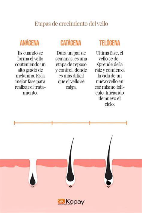 Medicamentos y crecimiento excesivo del vello