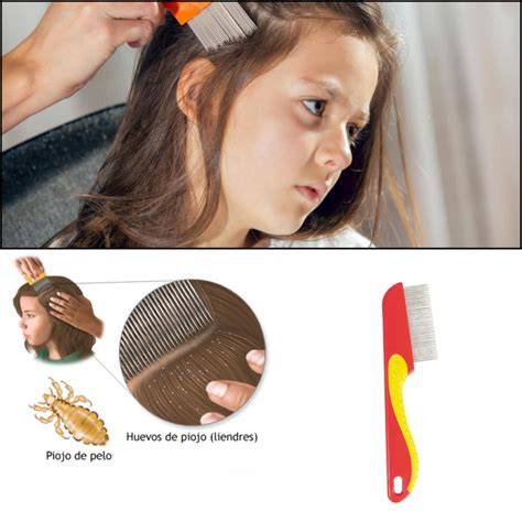 Examen del cabello con peine para liendres