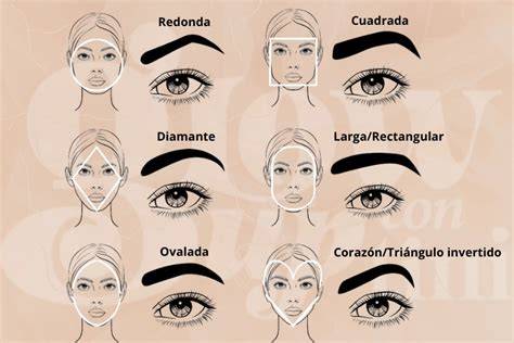 Comparación de estilos de cejas en rostro